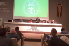Catone