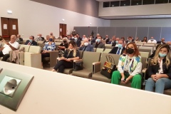 platea