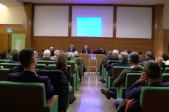 Platea_2