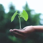 Ecologia alleata dello sviluppo. La svolta che serve all’Italia